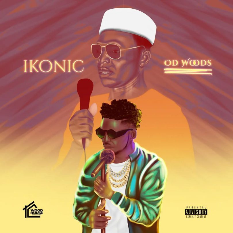 Made in Benue 2021 by Od Woods and Ikonic album launch Was sold out and a success featuring Terry G, Sugar Boy, Magnito, Atela, Noobvee, JJ Debusta and so many more